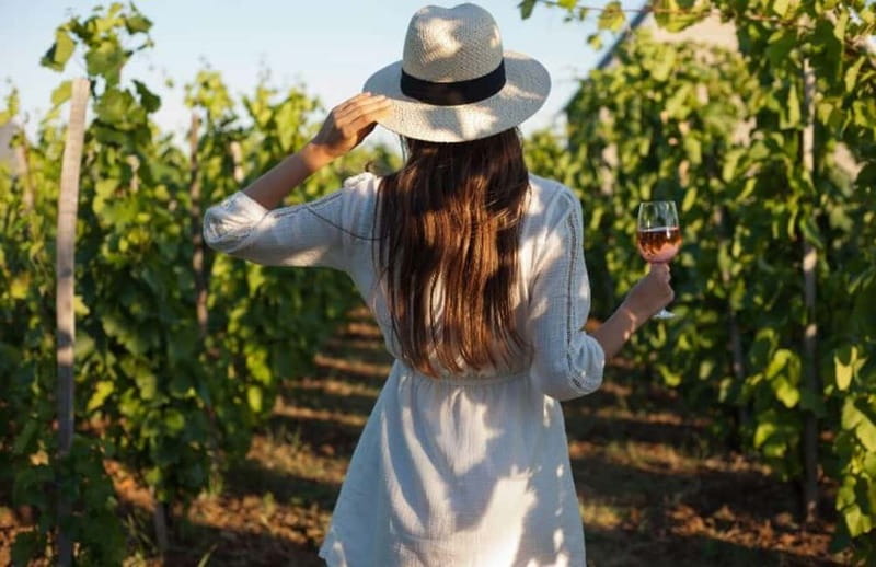 Florence: Chianti Vineyards Tour with Wine Tasting & Dinner - From Florence to the Chianti hills