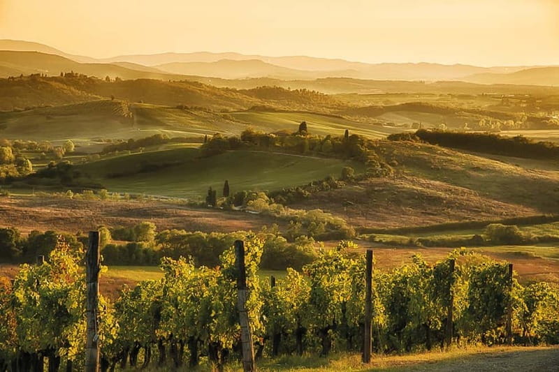 Florence: Chianti Vineyards Tour with Wine Tasting & Dinner - FAQ