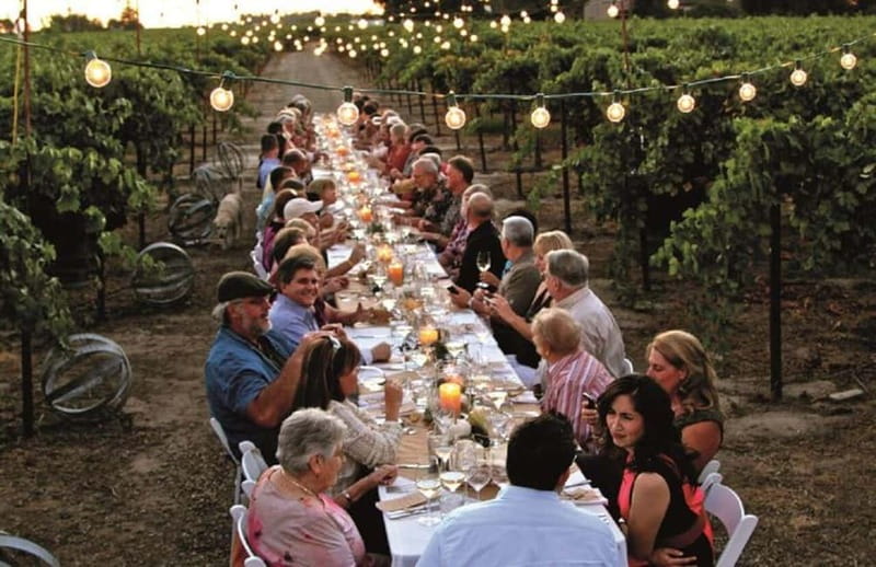 Florence: Chianti Vineyards Tour with Wine Tasting & Dinner - The Tuscan dinner among the vines