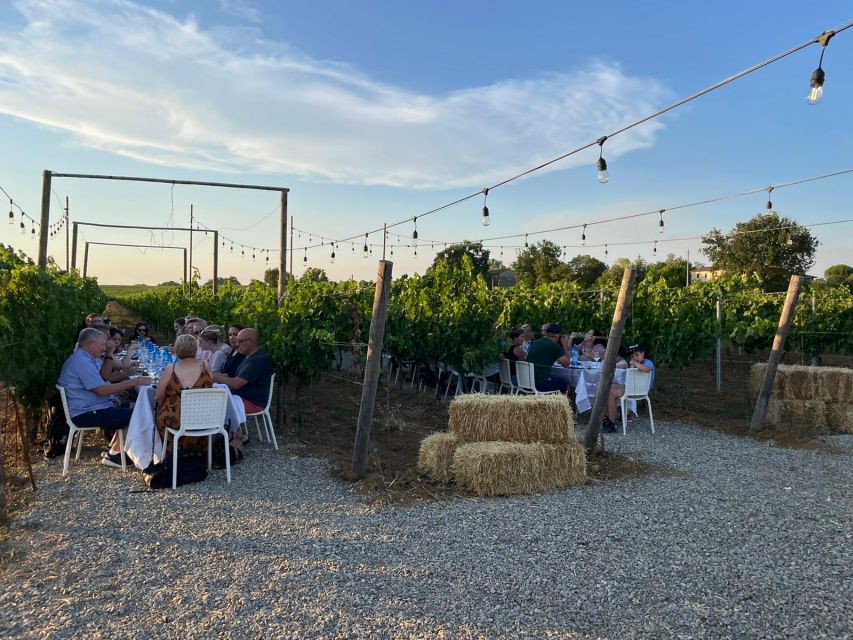 Florence: Chianti Vineyards Tour with Wine Tasting & Dinner - Sunset, weather, and comfort