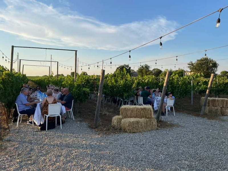 Florence: Chianti Vineyards Tour with Wine Tasting & Dinner - Is $128 a fair price?