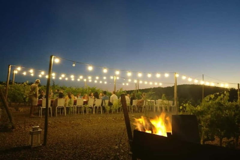 Florence: Chianti Vineyards Tour with Wine Tasting & Dinner - A few smart ways to prepare