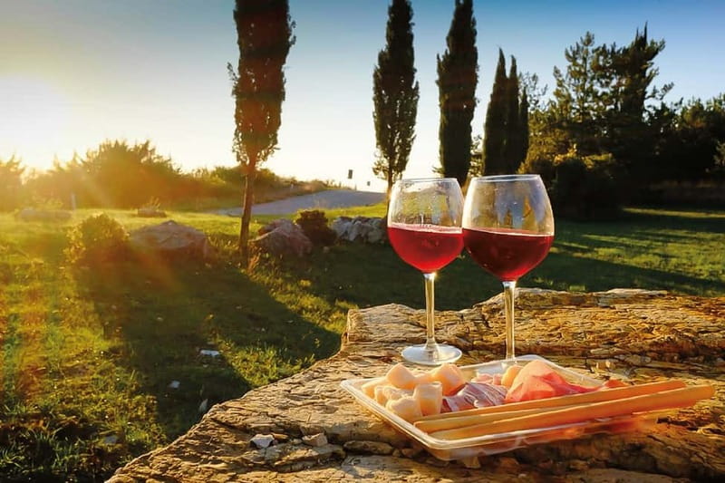 Florence: Chianti Vineyards Tour with Wine Tasting & Dinner - Inside the estate winery