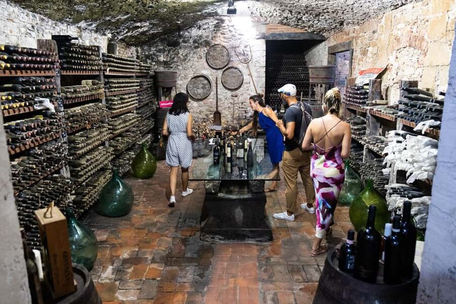 Florence: Chianti Wine Tour with 3 Wineries & Tuscan Lunch - Who will enjoy this day most?