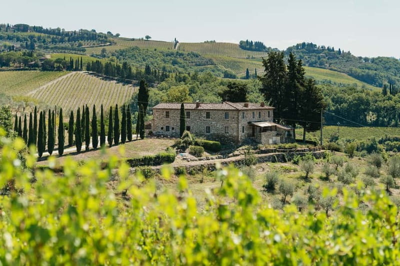 Florence: Chianti Wineries Tour with Wine Tasting - Second winery: a different side of Chianti