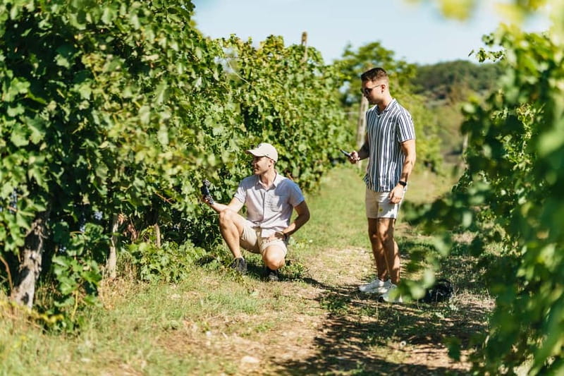 Florence: Chianti Wineries Tour with Wine Tasting - Food, shopping, and what to expect from the tastings