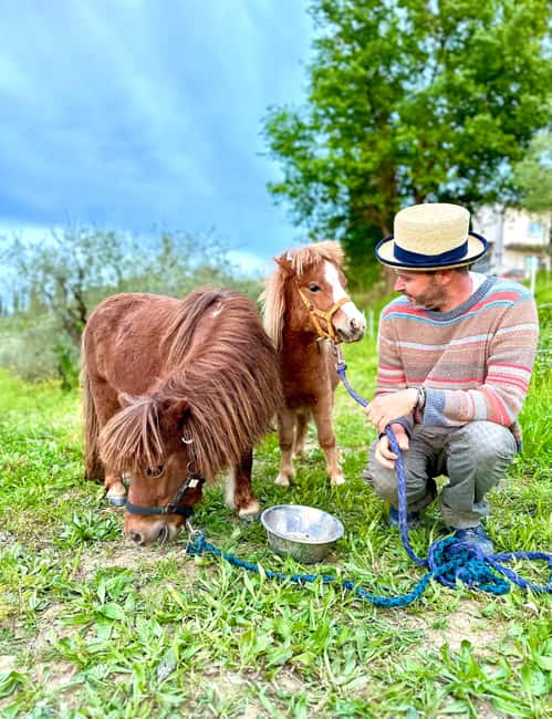 Florence: Countryside Tour with Wine Tasting & Pasta Class - A walk through vines, olive trees, and the botanical garden