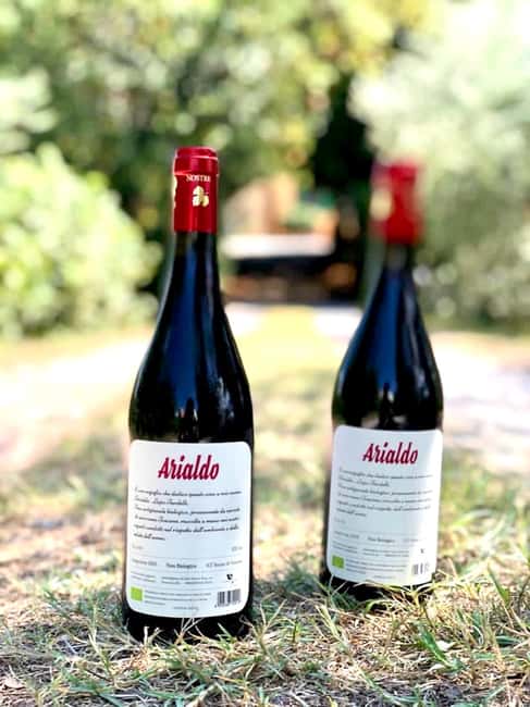Florence: Countryside Tour with Wine Tasting & Pasta Class - The 45-minute ride from Florence to Fucecchio