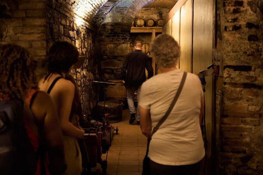 Florence: Great Chianti Wine and Olive Oil Trail with Lunch - The final winery combines lunch and a tasting