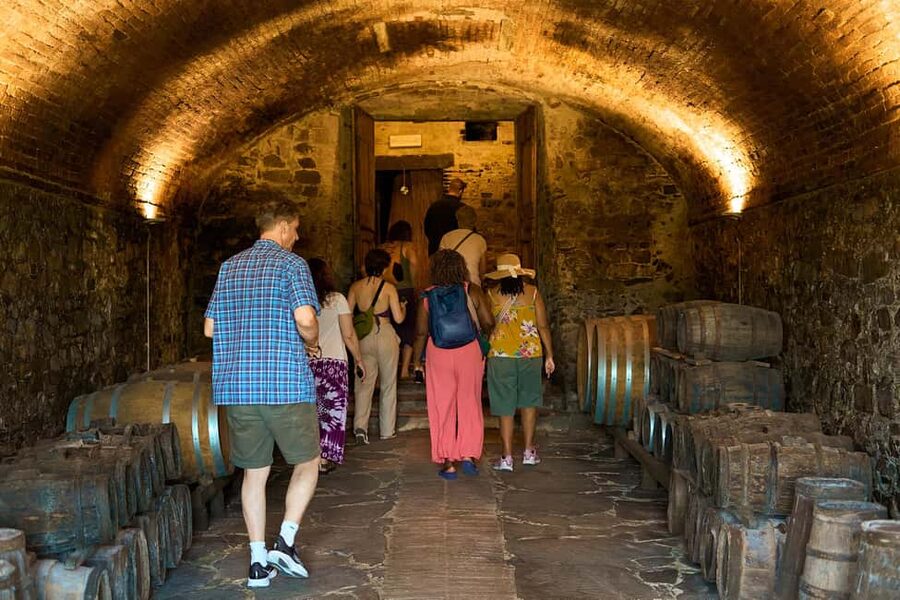 Florence: Great Chianti Wine and Olive Oil Trail with Lunch - Transport, group size, and the day’s pace