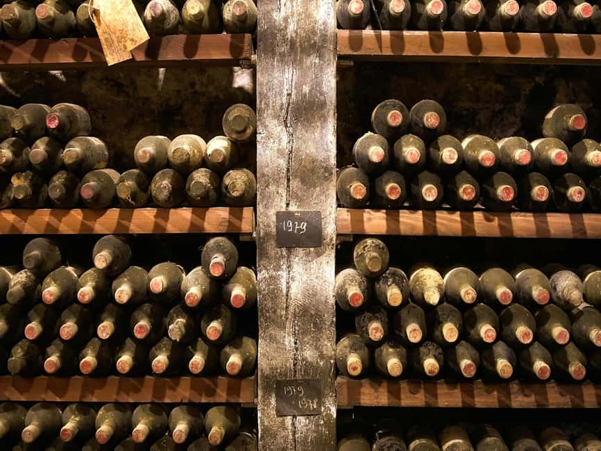 Florence: Great Chianti Wine and Olive Oil Trail with Lunch - Second winery: a more personal look at Chianti wine