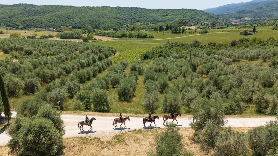 Florence: Horseback Riding Tour with Wine Tasting & Transfer - Riding among vineyards and olive groves