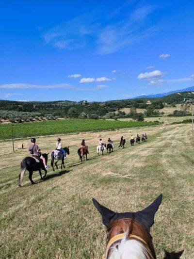 Horseback Riding Tour with Wine Tasting & Transfer