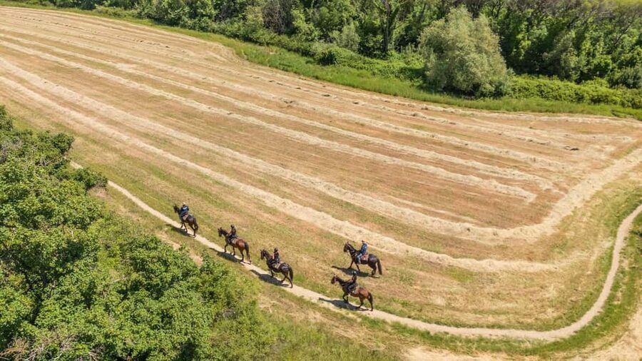 Florence: Horseback Riding Tour with Wine Tasting & Transfer - What the three-hour schedule really means