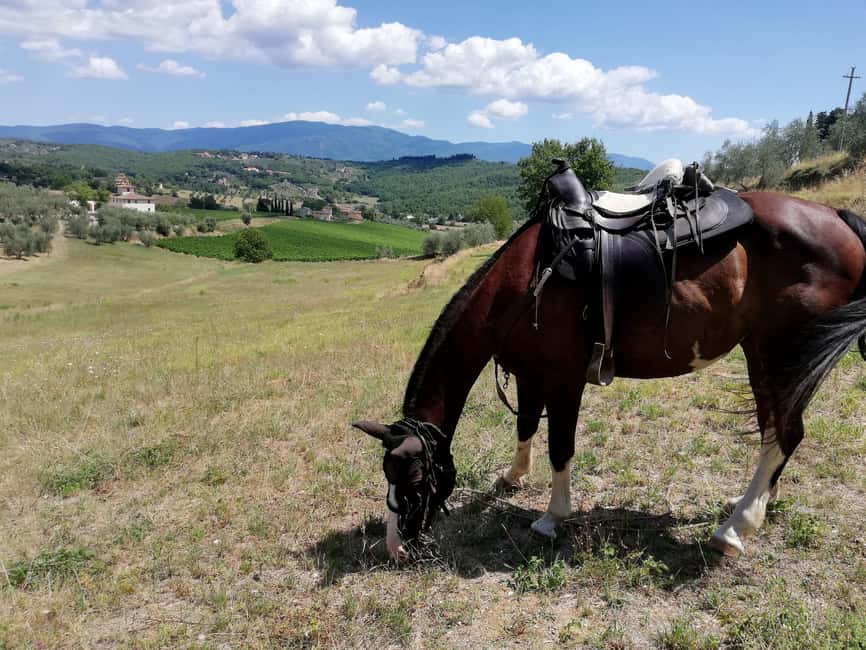 Florence: Horseback Riding Tour with Wine Tasting & Transfer - Practical ways to enjoy the ride