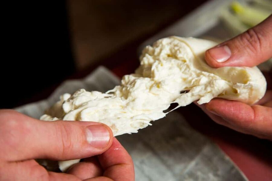 Florence: Mozzarella Making Workshop with Wine Tasting - Key points to know before booking