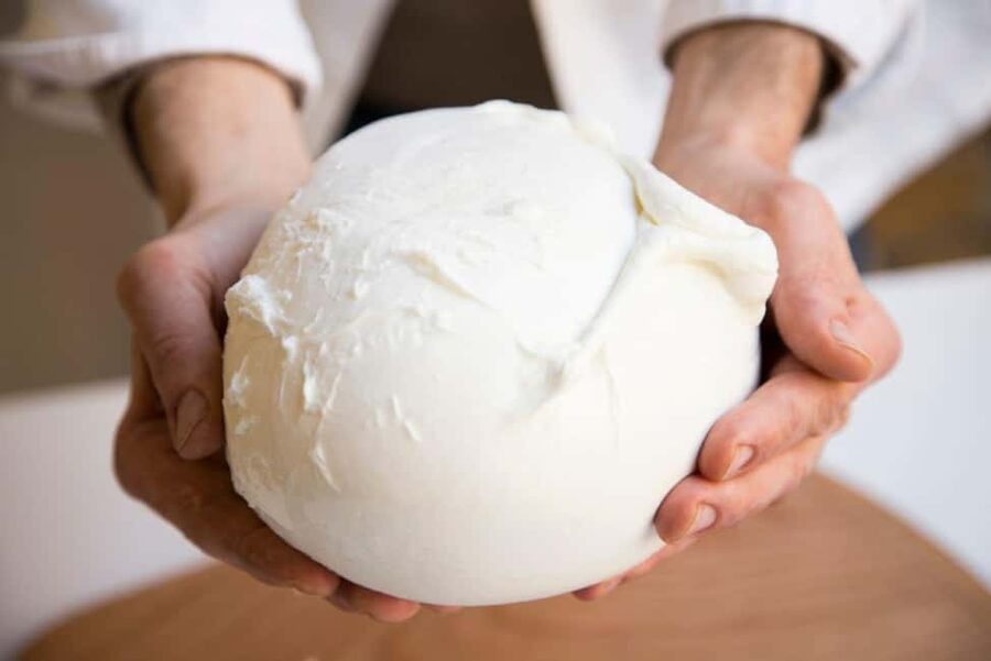 Florence: Mozzarella Making Workshop with Wine Tasting - Turning curds into fresh mozzarella
