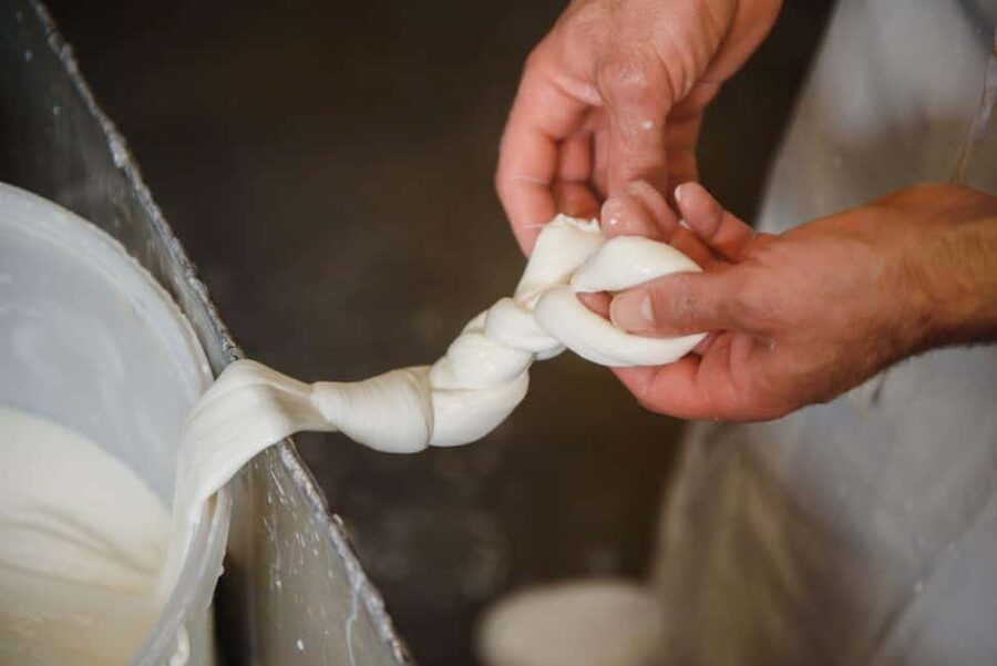Florence: Mozzarella Making Workshop with Wine Tasting - Tuscan wine tasting with your own cheese