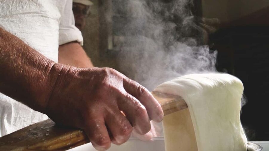 Florence: Mozzarella Making Workshop with Wine Tasting - What the full two-hour schedule feels like