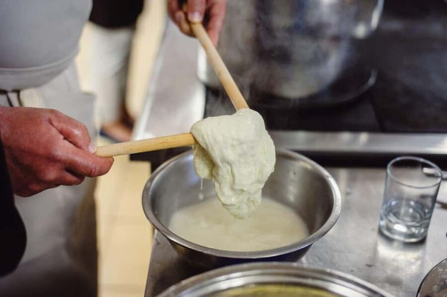 Florence: Mozzarella Making Workshop with Wine Tasting - Is $74 a good value?