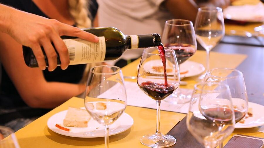 Florence: S. Gimignano, Siena, Chianti Wine Tasting & Lunch - The coach, group size, and pace