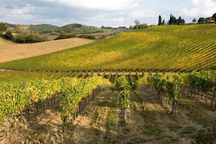 Florence: Siena & San Gimignano Day Trip with Lunch & Wine - Should you book this Siena and San Gimignano day trip?