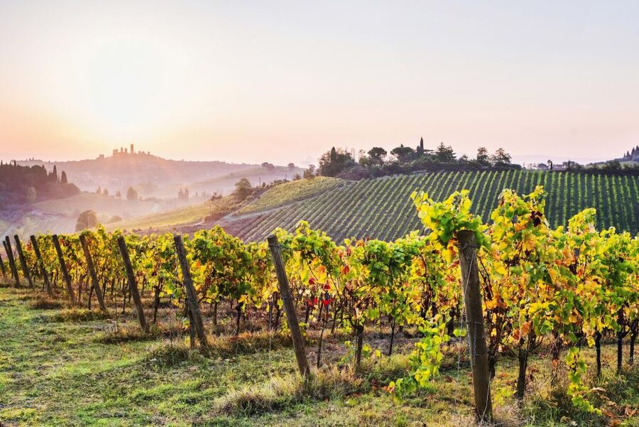 Florence: Siena & San Gimignano Day Trip with Lunch & Wine - The winery lunch: a generous middle stop