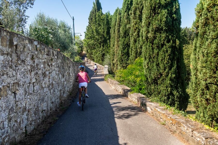 Florence: Tuscany Bike Tour with Wine & Olive Oil - Key points to know before booking
