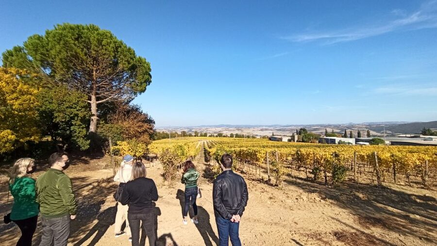 Florence: Valdorcia Wine, Brunello Montalcino, Montepulciano - Should you book the Val d’Orcia wine tour?