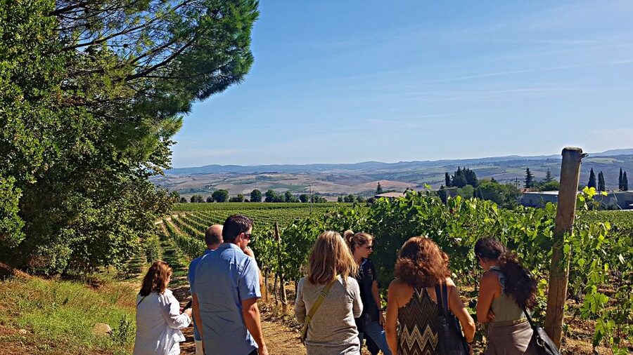 Florence: Valdorcia Wine, Brunello Montalcino, Montepulciano - What the small group changes