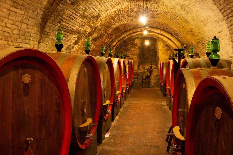 Florence: Valdorcia Wine, Brunello Montalcino, Montepulciano - Who should book this day?