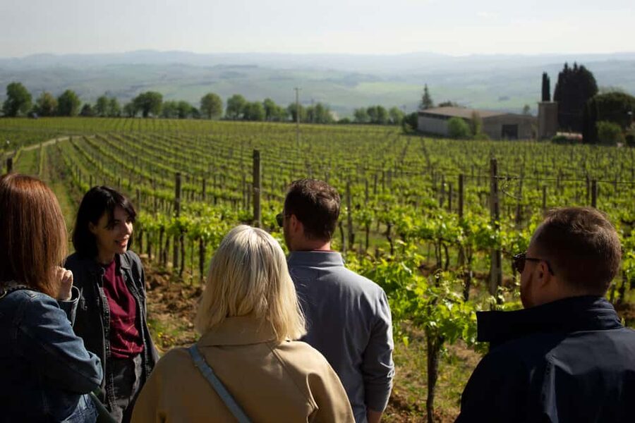 Florence: Valdorcia Wine, Brunello Montalcino, Montepulciano - Montalcino and the appeal of small-production Brunello