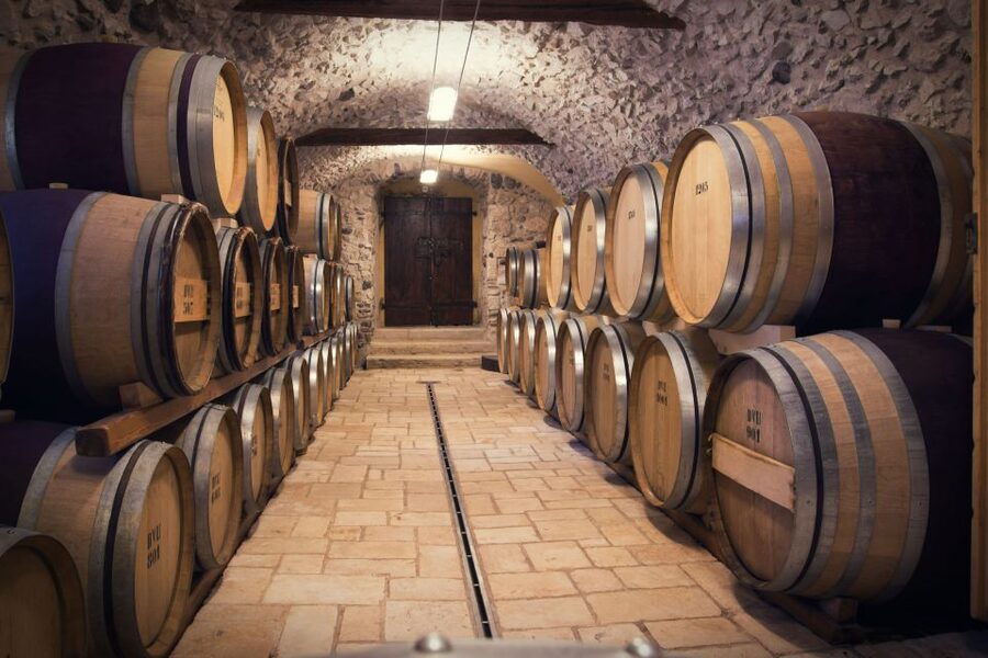 Florence: Wineries, Tastings, Lunch & San Gimignano Day Trip - Who should book this experience