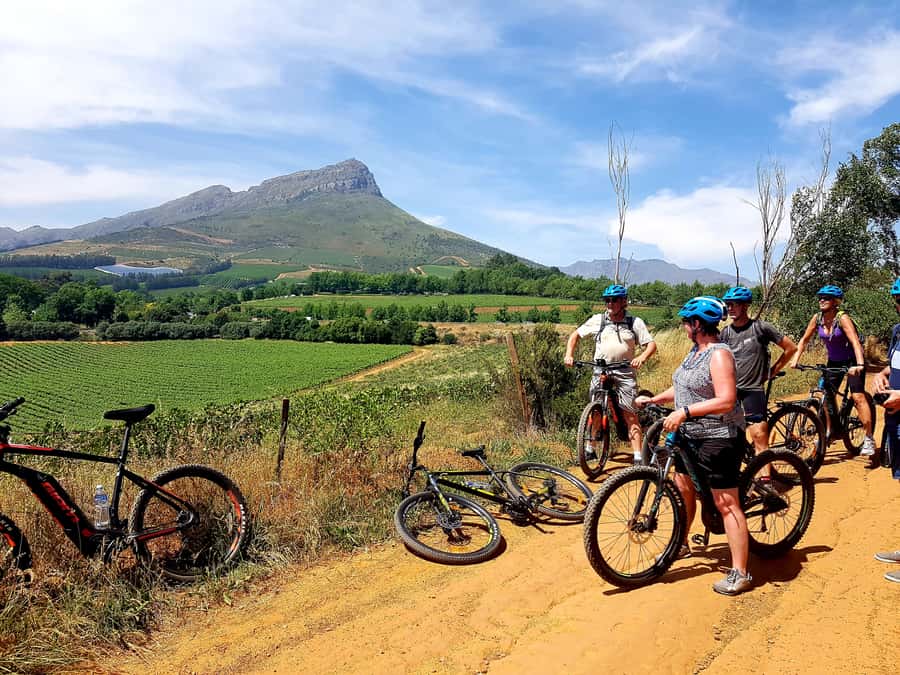 Franschhoek: E-bike Tour with Wine Tasting and Lunch - The Banhoek Conservancy by e-bike