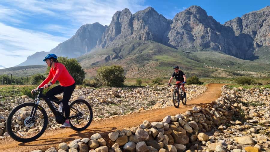 Franschhoek: E-bike Tour with Wine Tasting and Lunch - How the support and group size affect the day