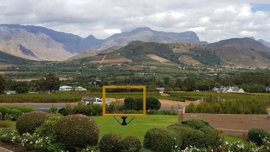 Franschhoek & Stellenbosch: Full-Day Wine Tour - The pace, comfort, and practical details