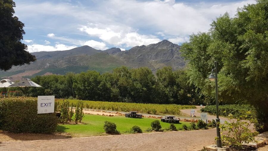 Franschhoek & Stellenbosch: Full-Day Wine Tour - Starting in Stellenbosch with mountain views
