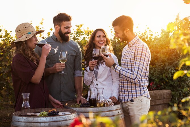 Franschhoek wine Tram & Stellenbosch Town Full day tour - The drive from Cape Town to Stellenbosch