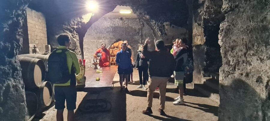 Frascati: Tour in E-Bike with Wine Tasting - The Tuscolo archaeological park