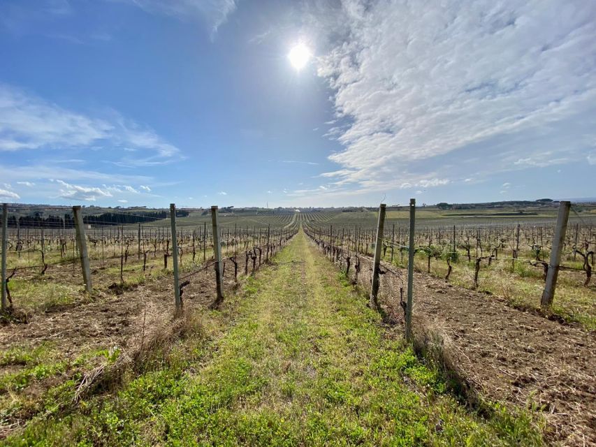 Frascati: Tour in E-Bike with Wine Tasting - Riding through the Castelli Romani Park