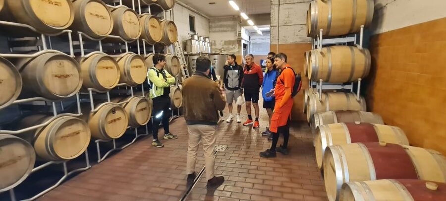 Frascati: Tour in E-Bike with Wine Tasting - Is $94 a fair price?