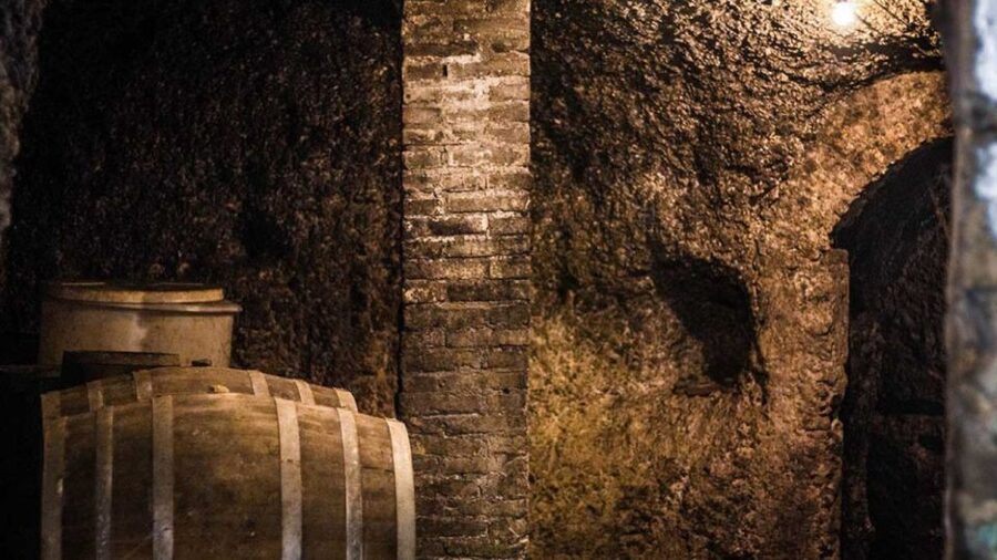 Frascati Wine Road from Rome: Tasting & Lunch - Practical tips for a smoother day