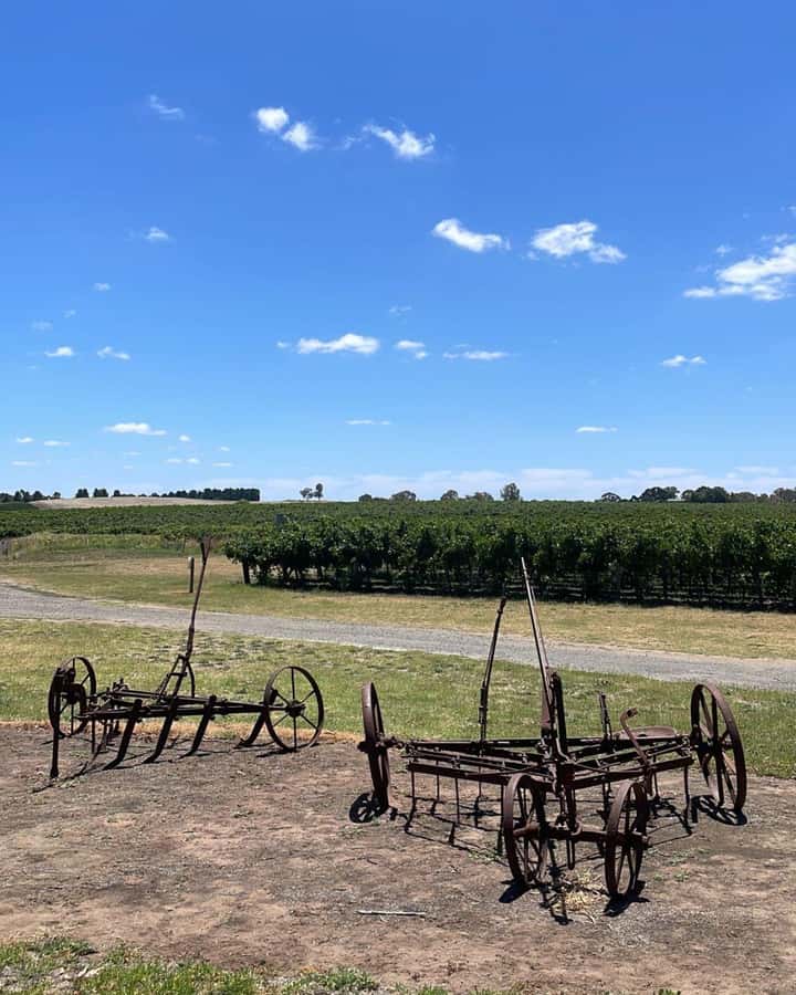 From Adelaide: Barossa to Hahndorf Wine Tasting and Lunch - Chateau Tanunda and the first tasting