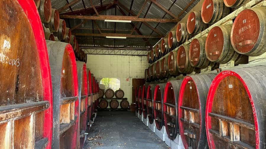 From Adelaide: Barossa to Hahndorf Wine Tasting and Lunch - Hahndorfs German-settlement streets