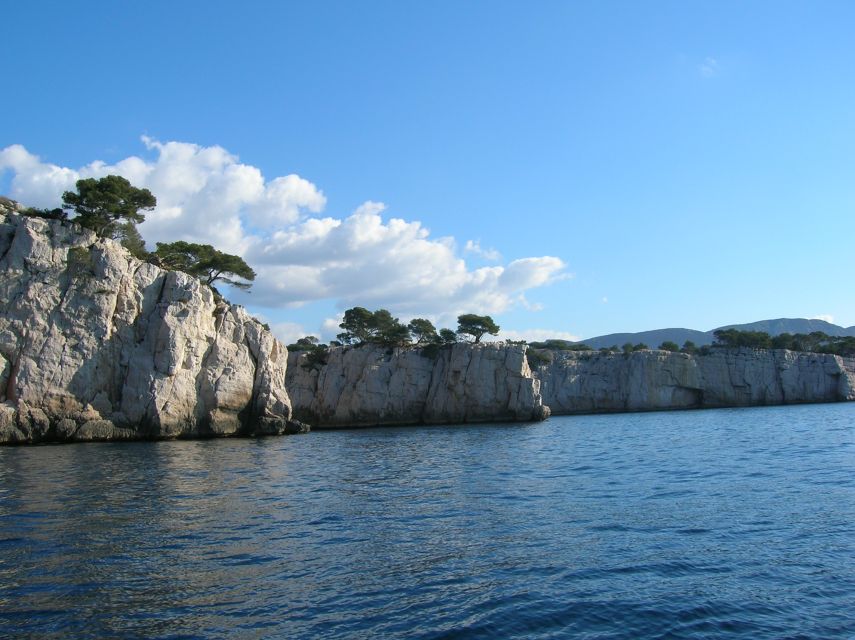 From Aix: Cassis Boat Ride & Provence Wine Tasting Day Tour - Cassis wine brings a local finish