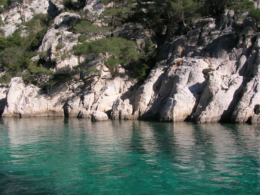 From Aix: Cassis Boat Ride & Provence Wine Tasting Day Tour - The van ride is part of the value