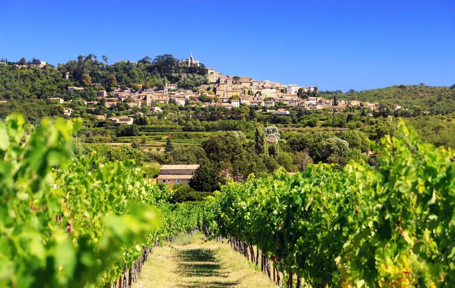 From Aix-en-Provence: Half-Day Wine Tour - Leaving Aix for Côtes de Provence country