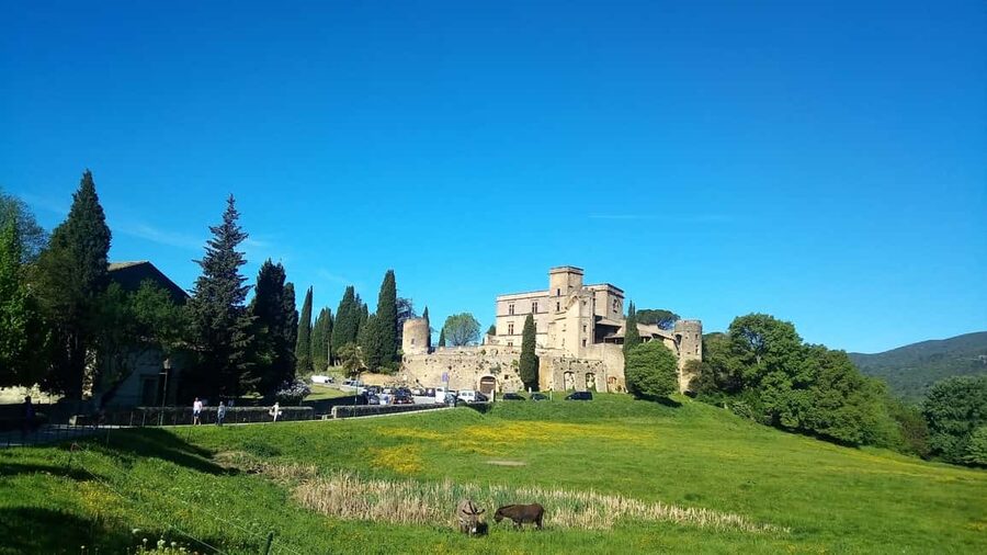 From Aix-en-Provence: Wine & Luberon Villages Full-day Tour - What to bring and who should skip it