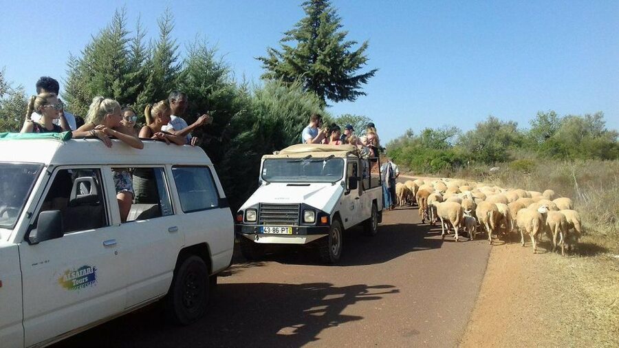 From Albufeira: 4x4 Off-Road Safari & Vineyard Wine Tasting - Key points to know before you book