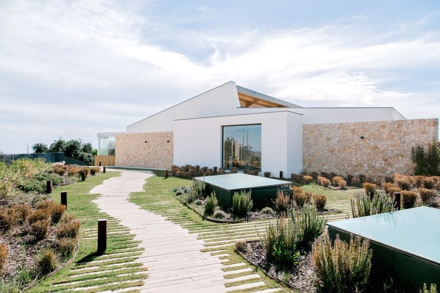 From Albufeira: 4x4 Off-Road Safari & Vineyard Wine Tasting - A local farm stop with honey, liqueurs, and piri-piri